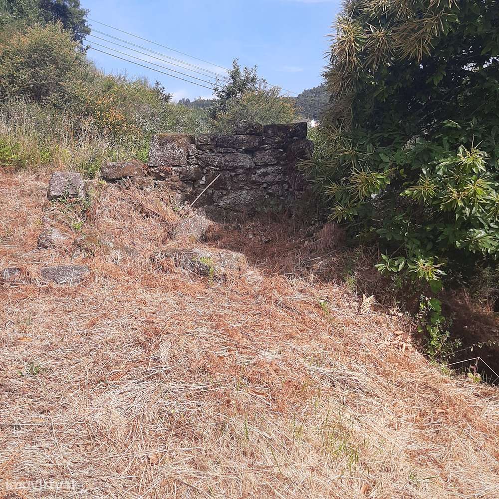 Casa em pedra para reconstruir Canelas Penafiel-6