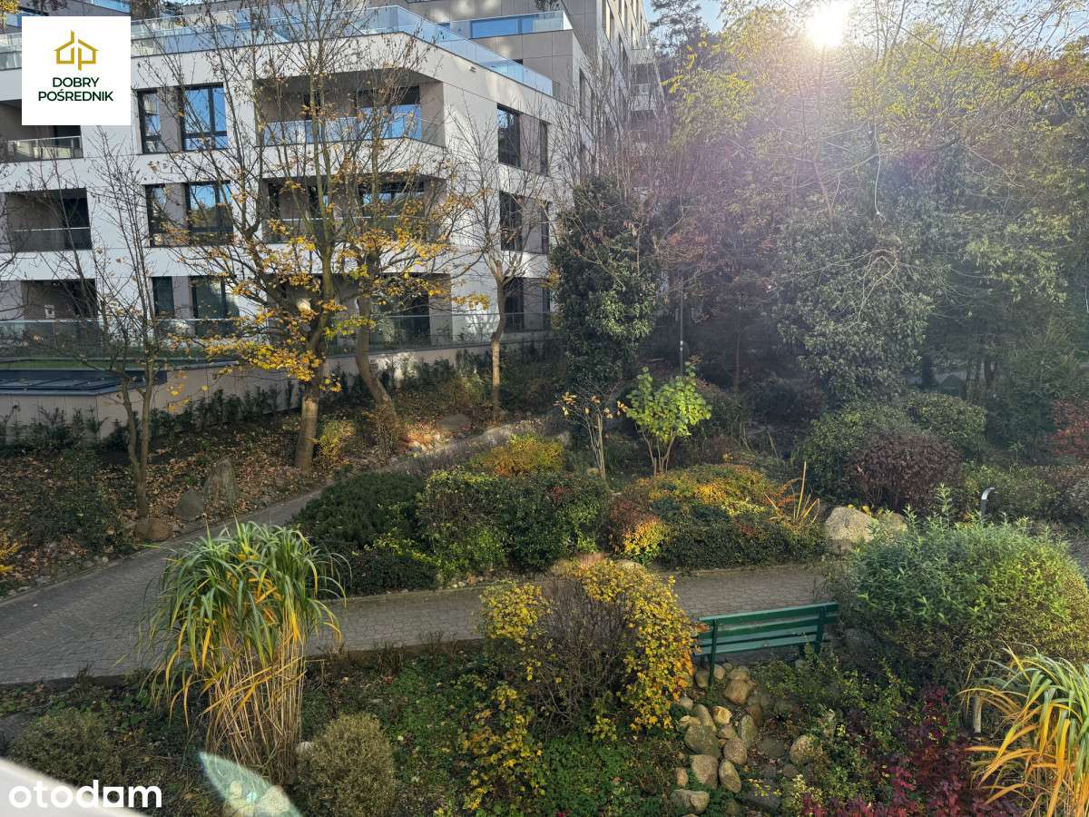 Sopot | 3 Pokoje przy samym lesie | Do remontu - Pełny obrazek: 5/13