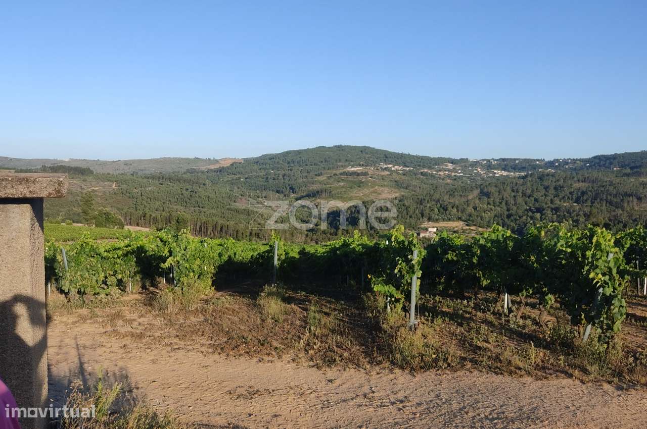 Lote Urbanizável no Vale do Dão – Oportunidade em Penalva do Castel... - Grande imagem: 2/20
