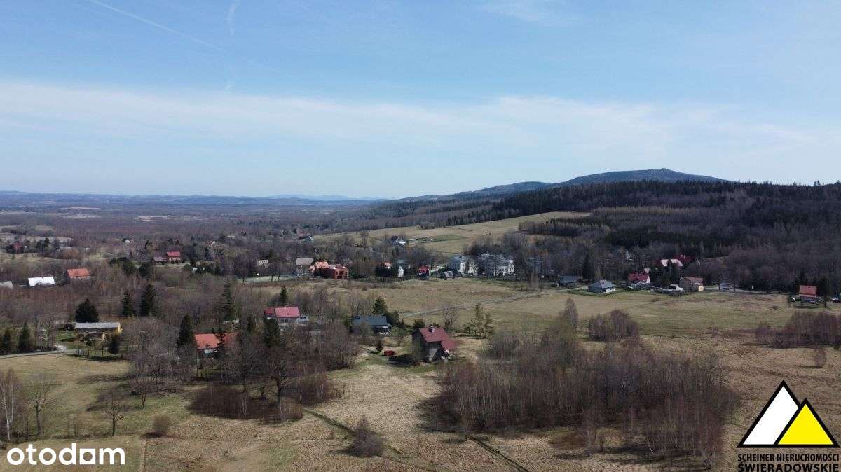 ponad 10 000m2 - Pełny obrazek: 3/17