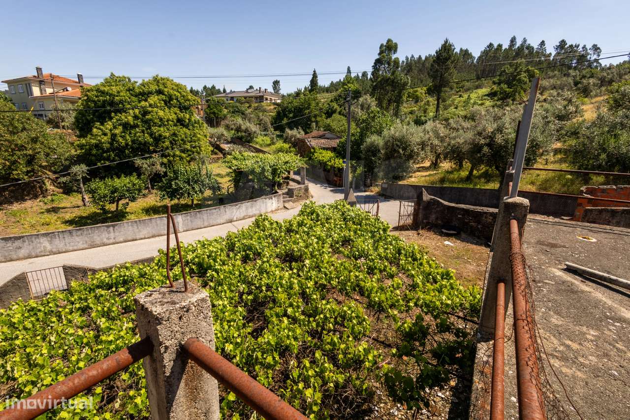 PROPRIEDADE DE CARÁTER NA N2 | 400 m² DE CONSTRUÇÃO, OLIVAL E POTEN...-40