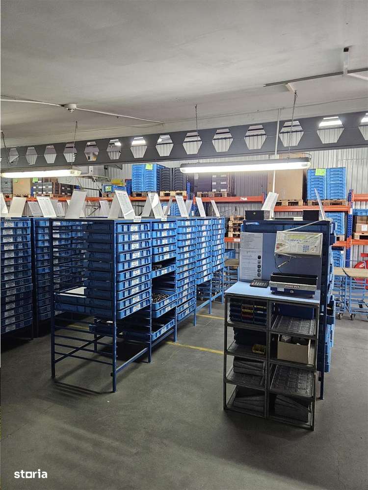 Exclusivitate - Proprietate Industriala De Vanzare - Productie - Depoz-15