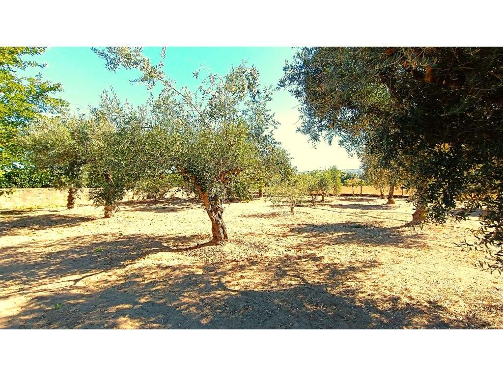 M ORADIA T3 COM PISCINA COBERTA , QUINTAL E 2 GARAGENS, BELMONTE, B...-17