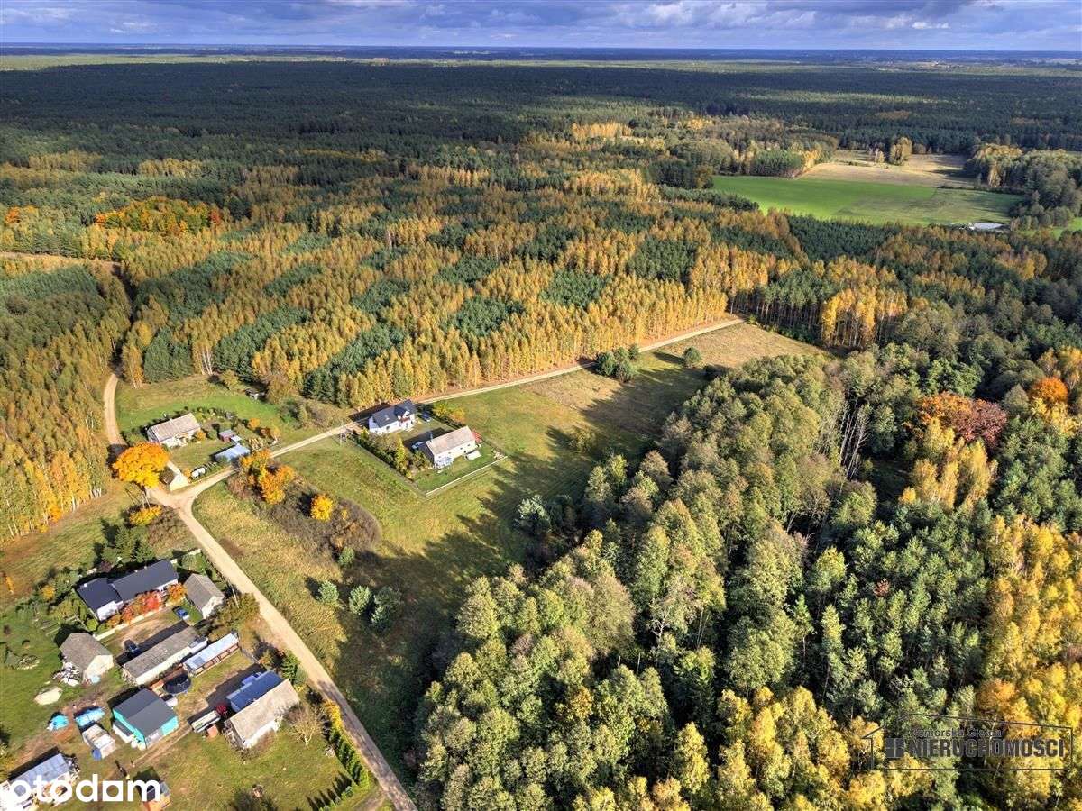 Działka pod lasem na raty - Piaseczno-10