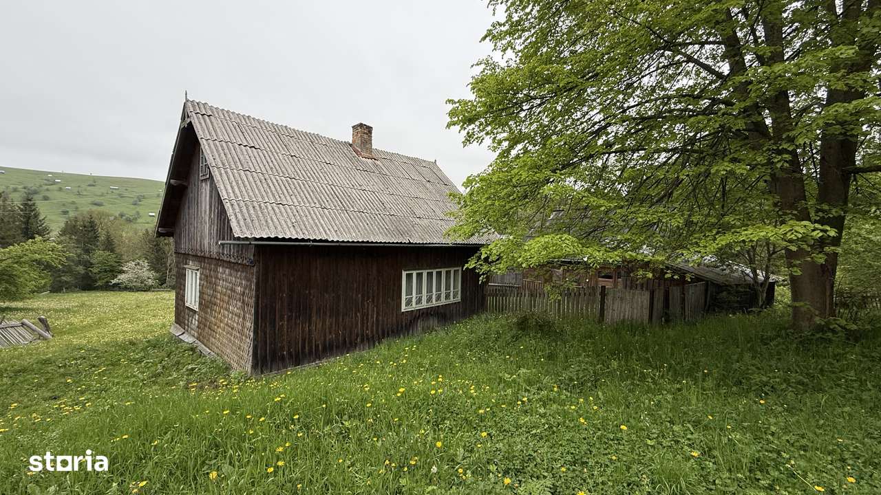 Casă și anexe plus teren 4360 mp, fără vecini - Imagine principală: 5/12