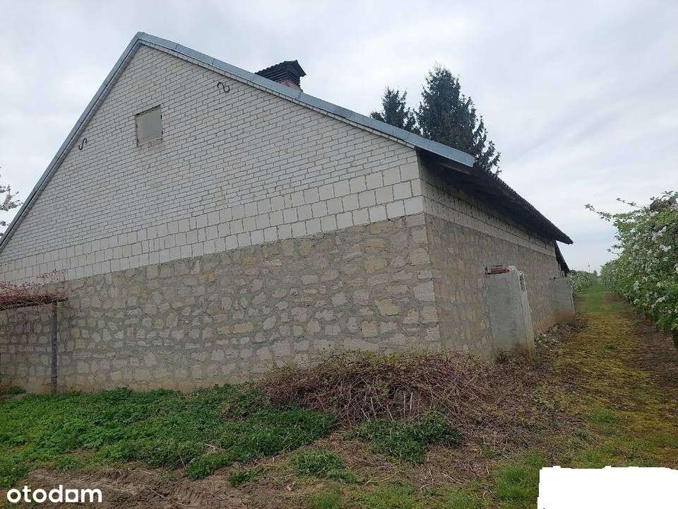 Sprzedam dom + budynki gospodarcze + sad - Pełny obrazek: 5/7