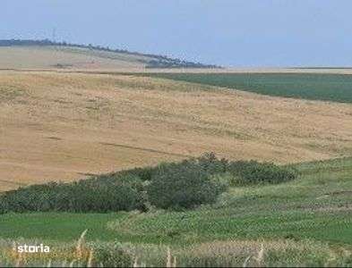 Teren Extravilan Aroneanu, ID: R2577828 - Imagine principală: 5/11