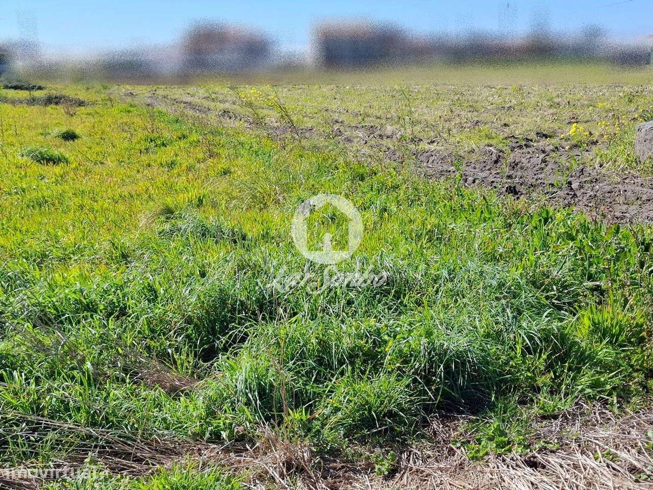 Terreno com 950m² em Aguçadoura - Grande imagem: 3/13