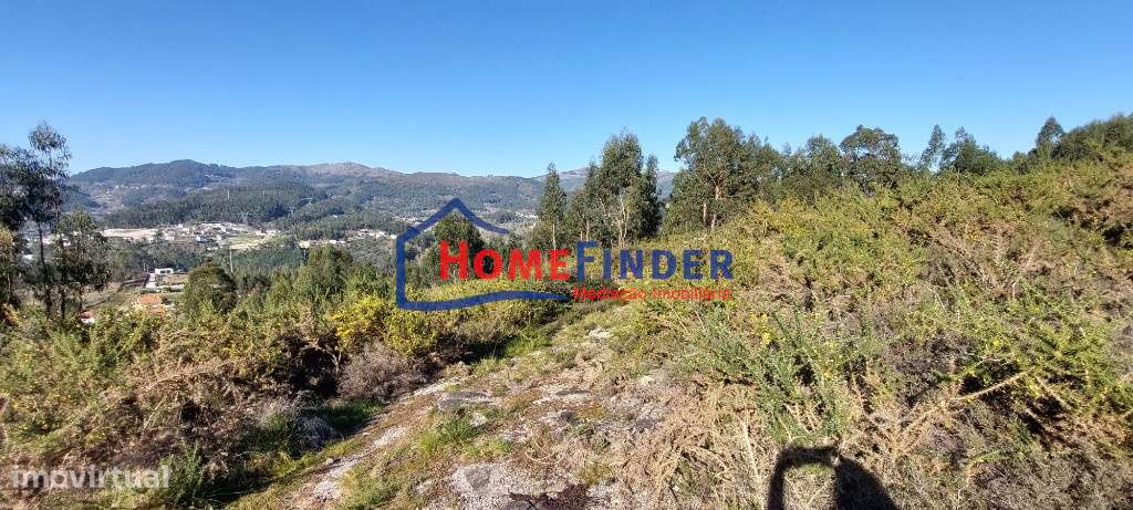 Bouça com 15.000 m² - Póvoa de Lanhoso - Grande imagem: 4/20