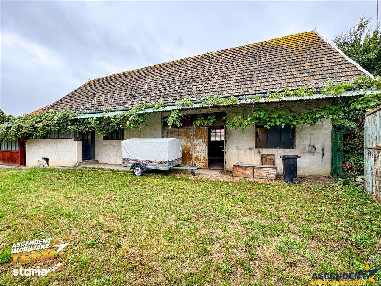 FILM! Domeniu de 1.660mp,cu doua case, atelier si anexe,Lemnia,Covasna - Imagine principală: 5/20