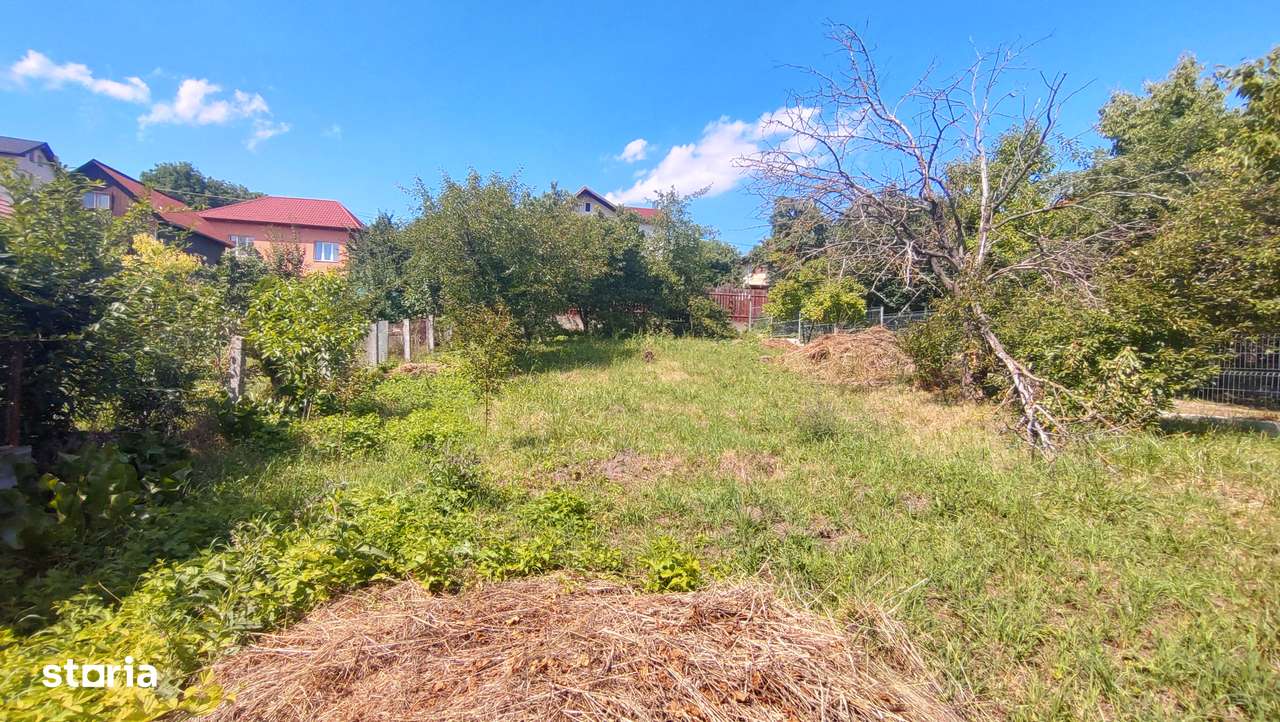 Vând casă cu teren mare în cartierul Dâmbul Rotund-4