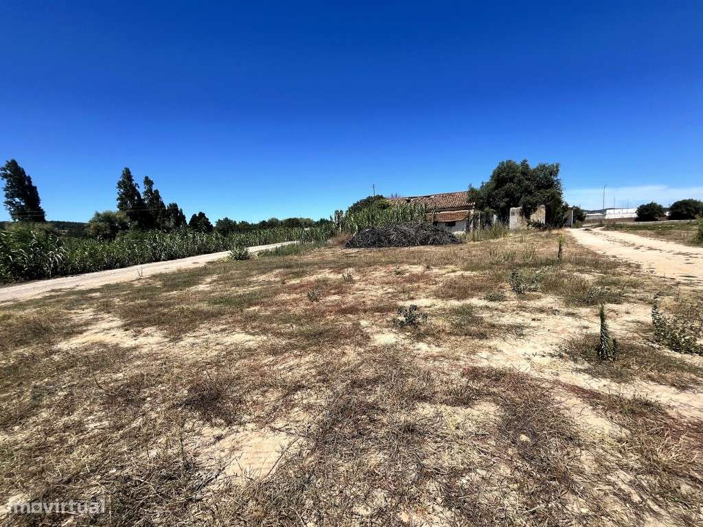 Terreno, em Rio Maior - Grande imagem: 2/11