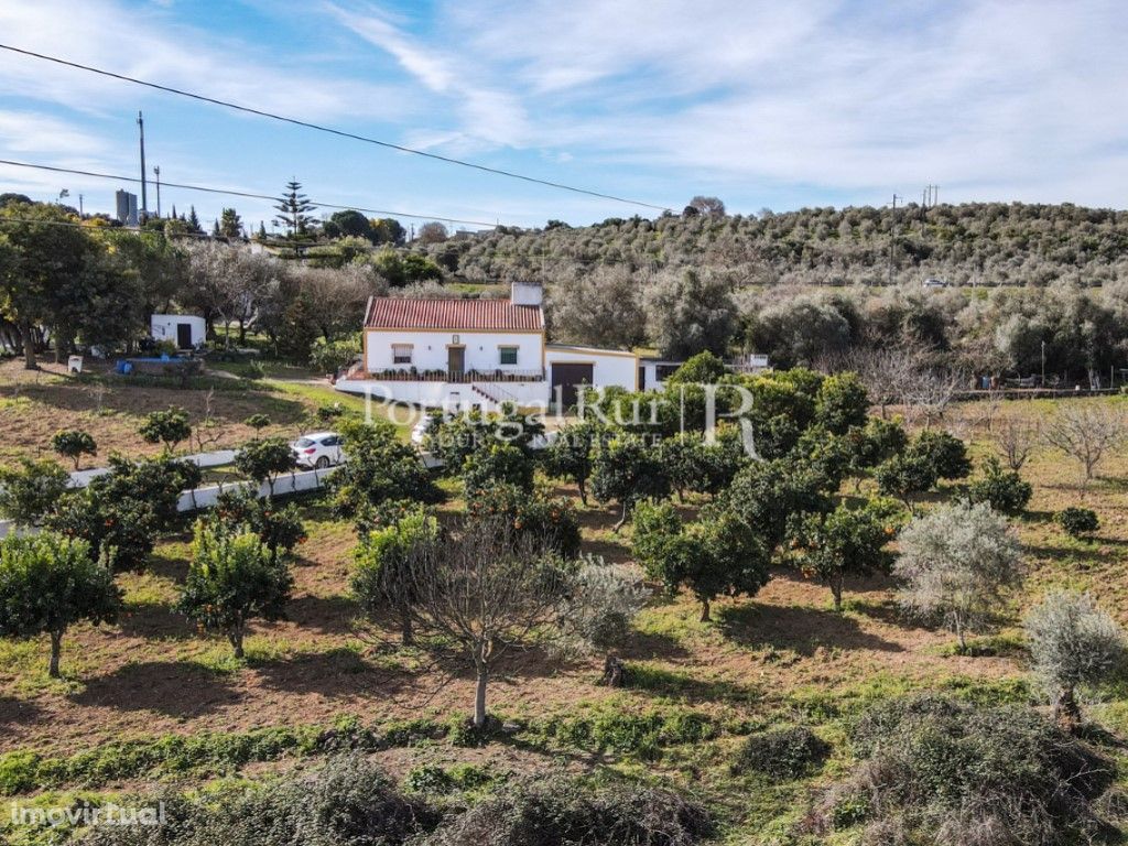 Quinta de 2 ha com moradia T3 em Vila Viçosa