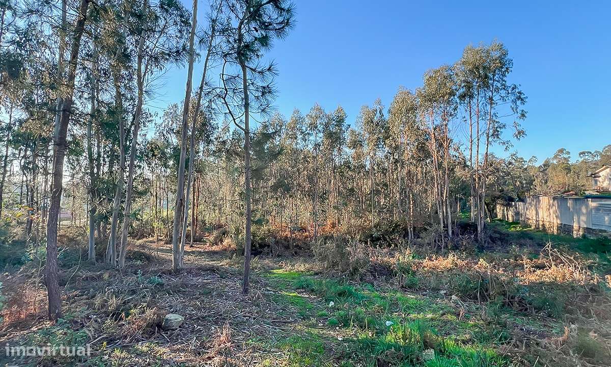 Terreno 12.000m² - Grimancelos - Grande imagem: 3/8