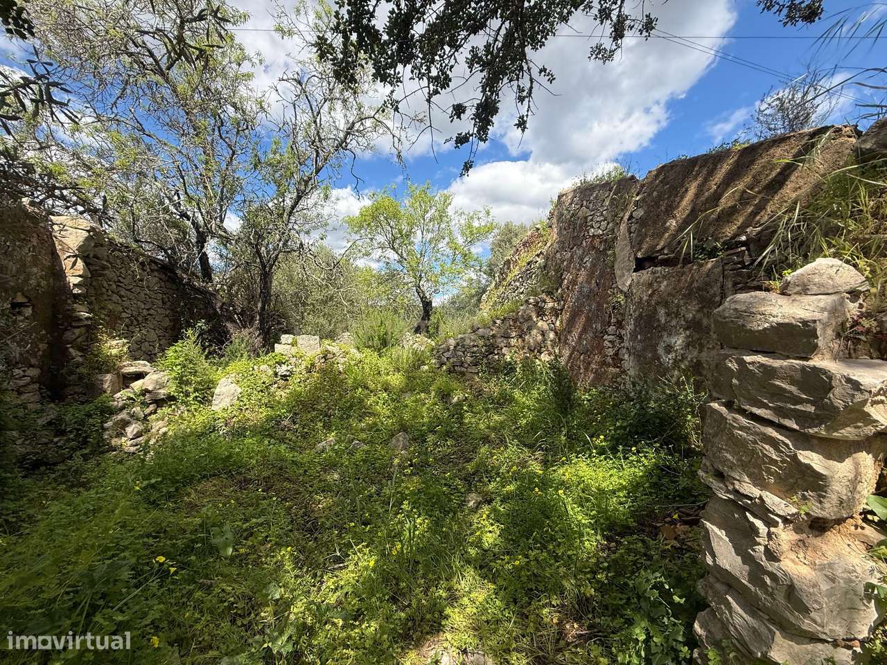 Terreno com Ruína em Mealhas, São Brás de Alportel - Grande imagem: 3/22