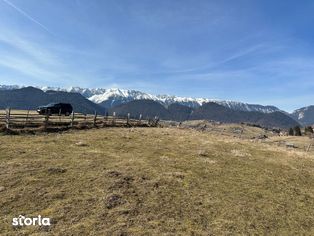 Teren Moeciu, satul Pestera 24219 mp cu priveliste asupra muntilor