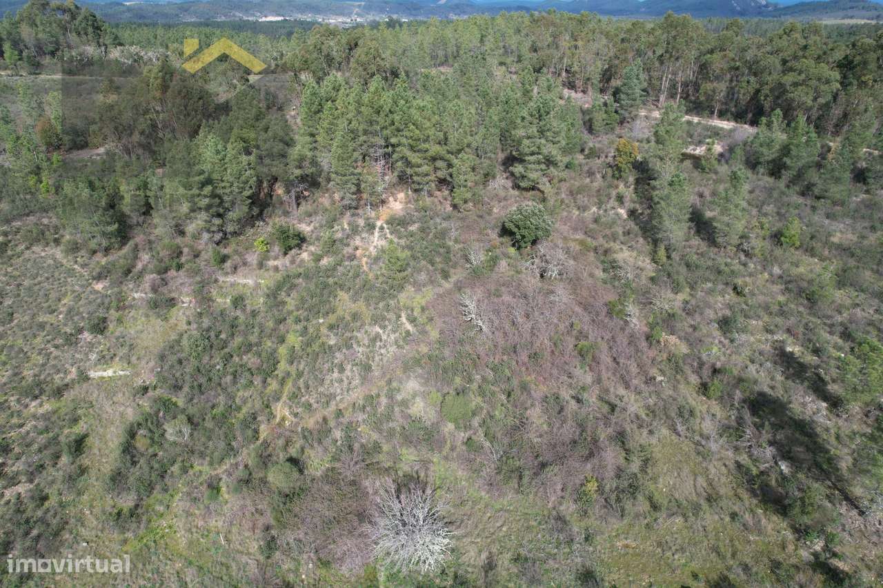 Terreno Rústico  Venda em Salgueiro do Campo,Castelo Branco - Grande imagem: 4/7