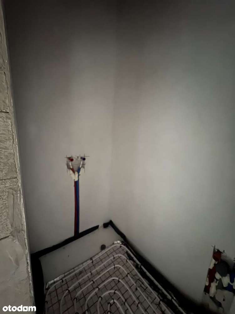 Sprzedam dom wolnostojący w stanie deweloperskim - Pełny obrazek: 4/20