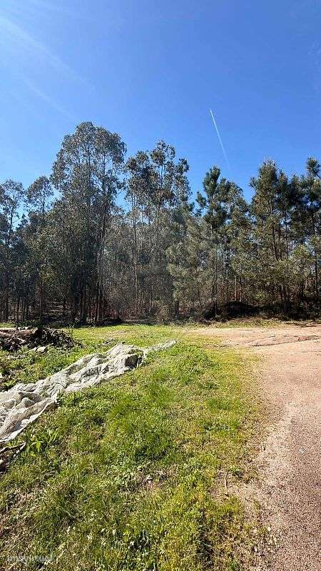 Terreno  para venda - Grande imagem: 2/3