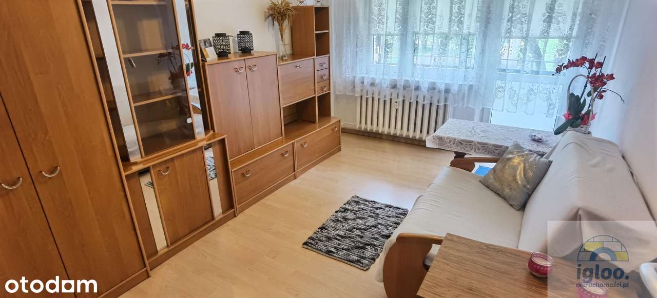 Do wejścia 3-pok na 1-piętrze Sady, Politechnika Św - Pełny obrazek: 3/9