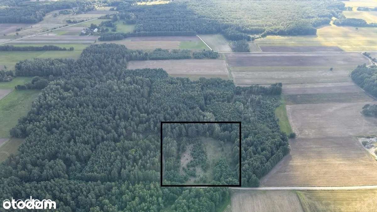 pod Rezydencję  ,z projektem i poz na budowę !!.Rogówek , ponad 1,5 ha-5