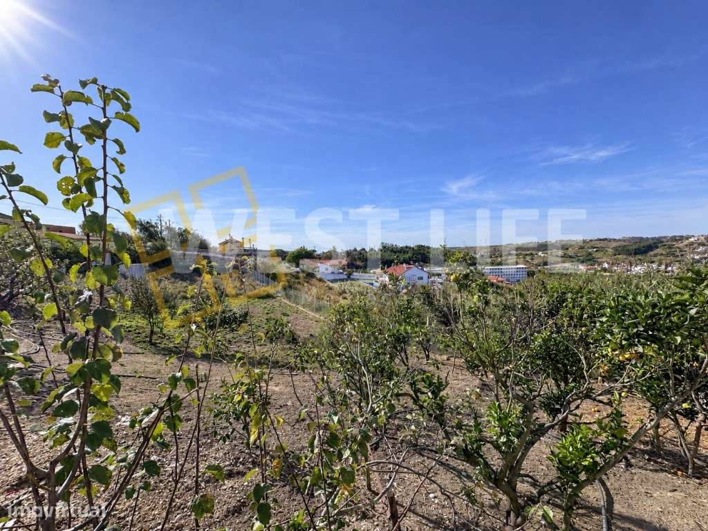 Terreno Urbano com Potencial para Construção de Moradias | EXCLUSIV...-22