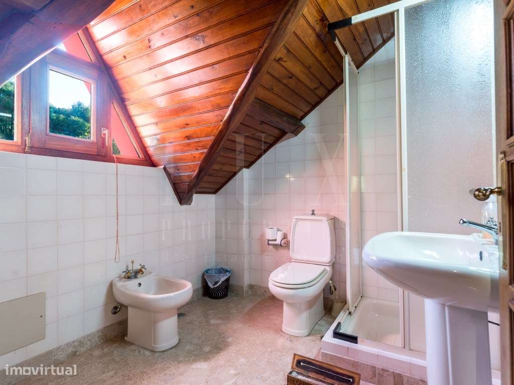 QUINTA COM 22.000 m² E TRÊS MORADIAS EM LOCALIZAÇÃO PRIVILEGIADA DE...-39