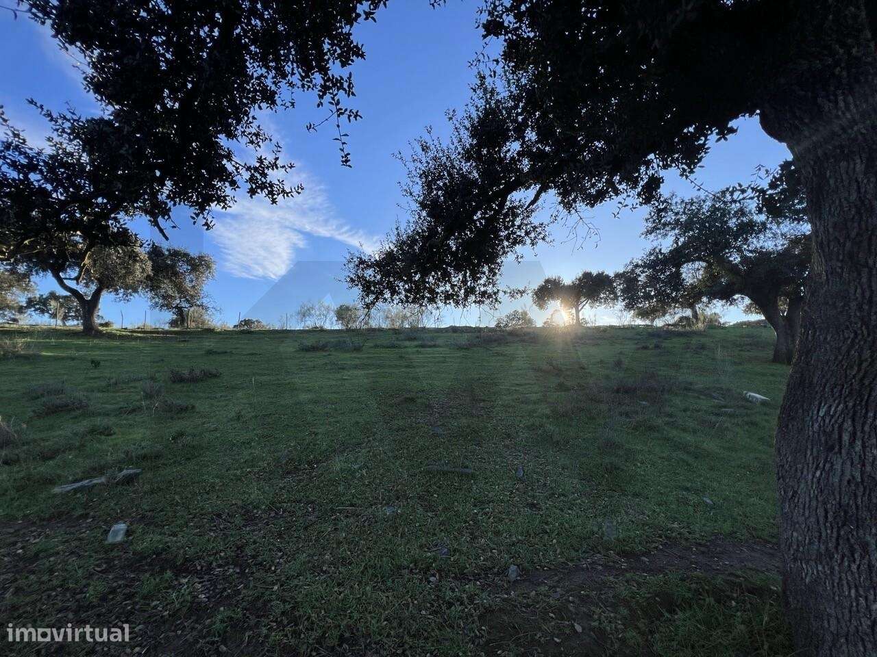 Herdade Exclusiva Junto à Barragem do Alqueva – Investimento Turístico-19