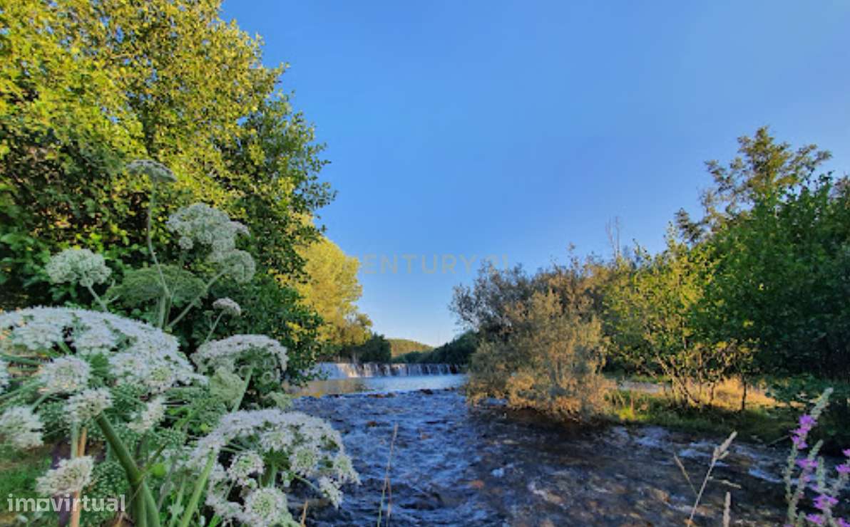 Terreno de Pinhal | Negociável - Grande imagem: 5/6