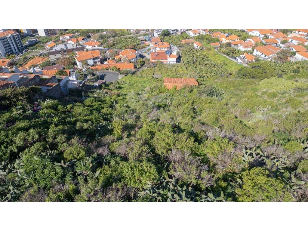 Terreno para construção - Amparo - Grande imagem: 5/20