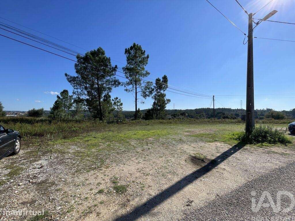 Terreno para construção em Asseiceira de 4640,00 m2 - Grande imagem: 4/13