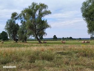 Działka z linią brzegową - warunki zabudowy