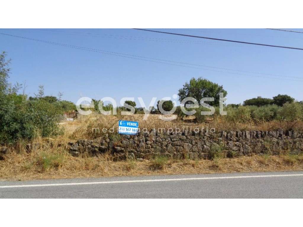 Terreno rustico situado em São Miguel de Acha, Idanha-a-Nova - Grande imagem: 2/39