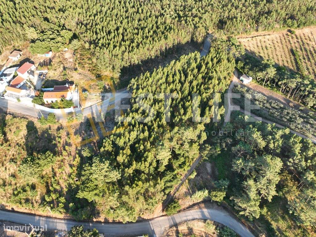 Terreno Rústico com 6598m2 - Bons acessos - Eucaliptal - Junto a in... - Grande imagem: 5/13