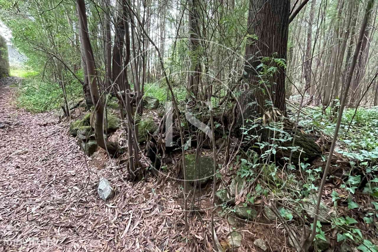 Prédio Rústico na Trofa - Grande imagem: 4/8