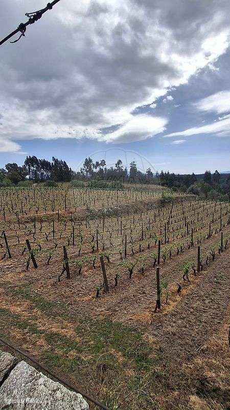 Terreno  para venda - Grande imagem: 2/14