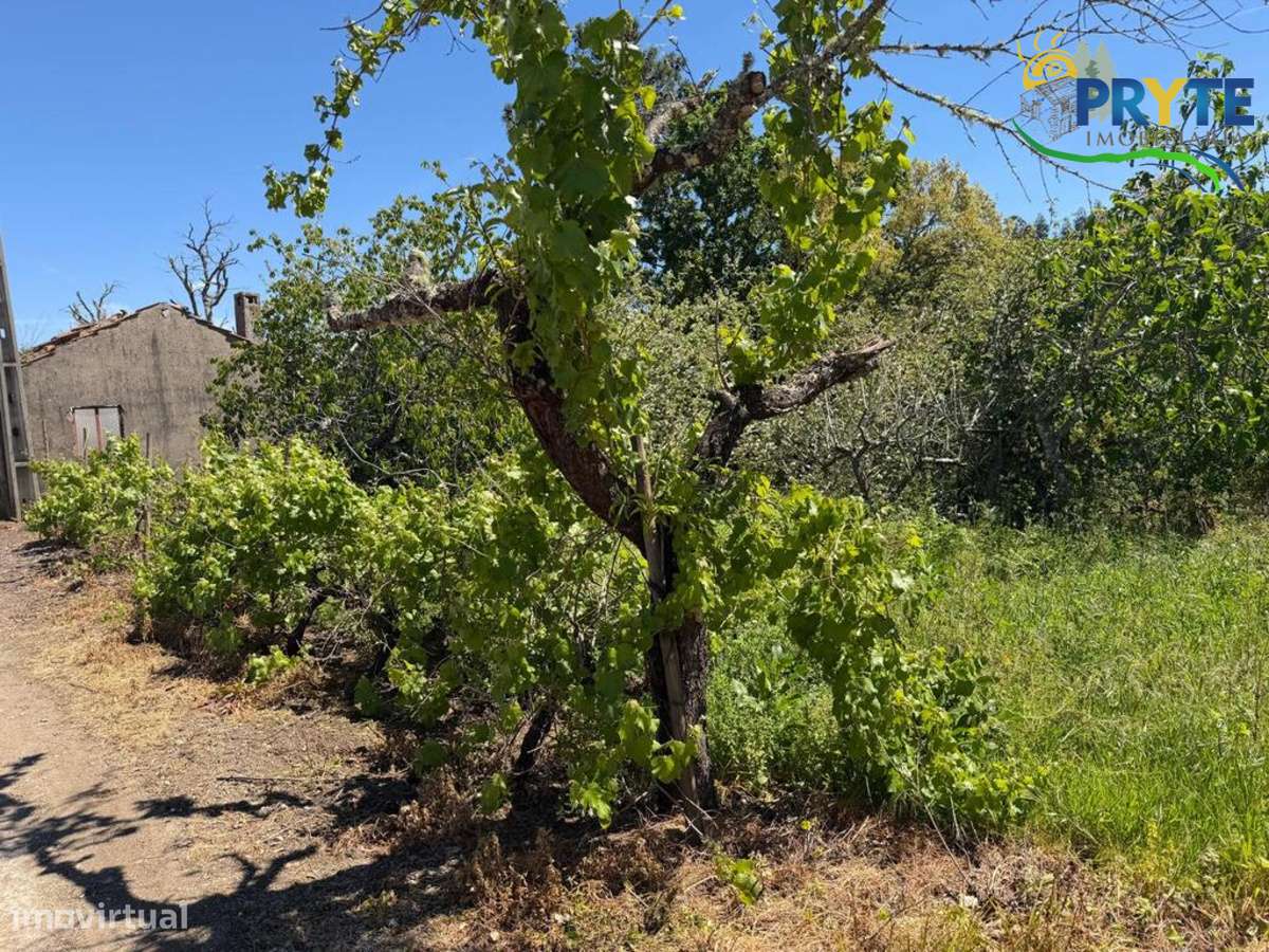 Terreno parcialmente dentro do perímetro urbano da aldeia - Grande imagem: 5/12
