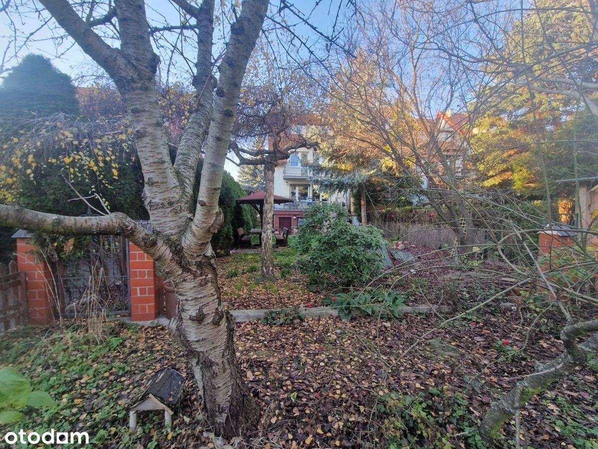 Szereg Skrajny W Sąsiedztwie Parku-15