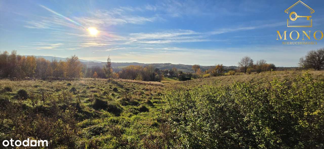 Widokowa działka 58 ar z WZ na 2 domy-12