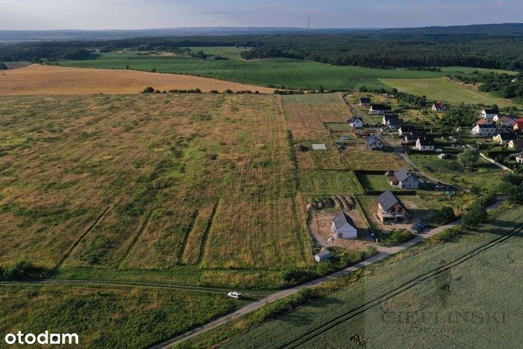 Działka 22 km do Centrum Szczecina - Pełny obrazek: 4/4