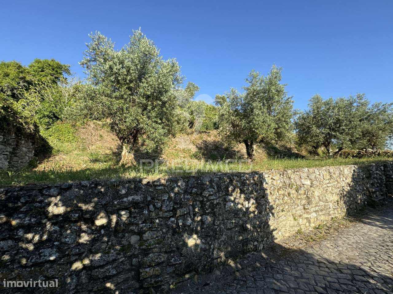 Terreno na Zona Histórica de Ourém - Grande imagem: 4/4
