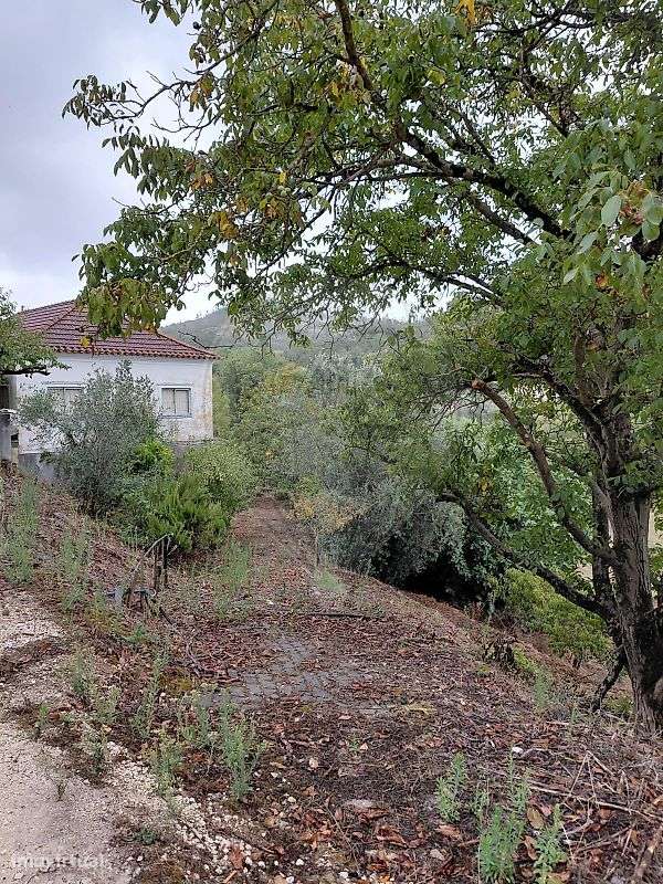 Moradia T3 para venda-22