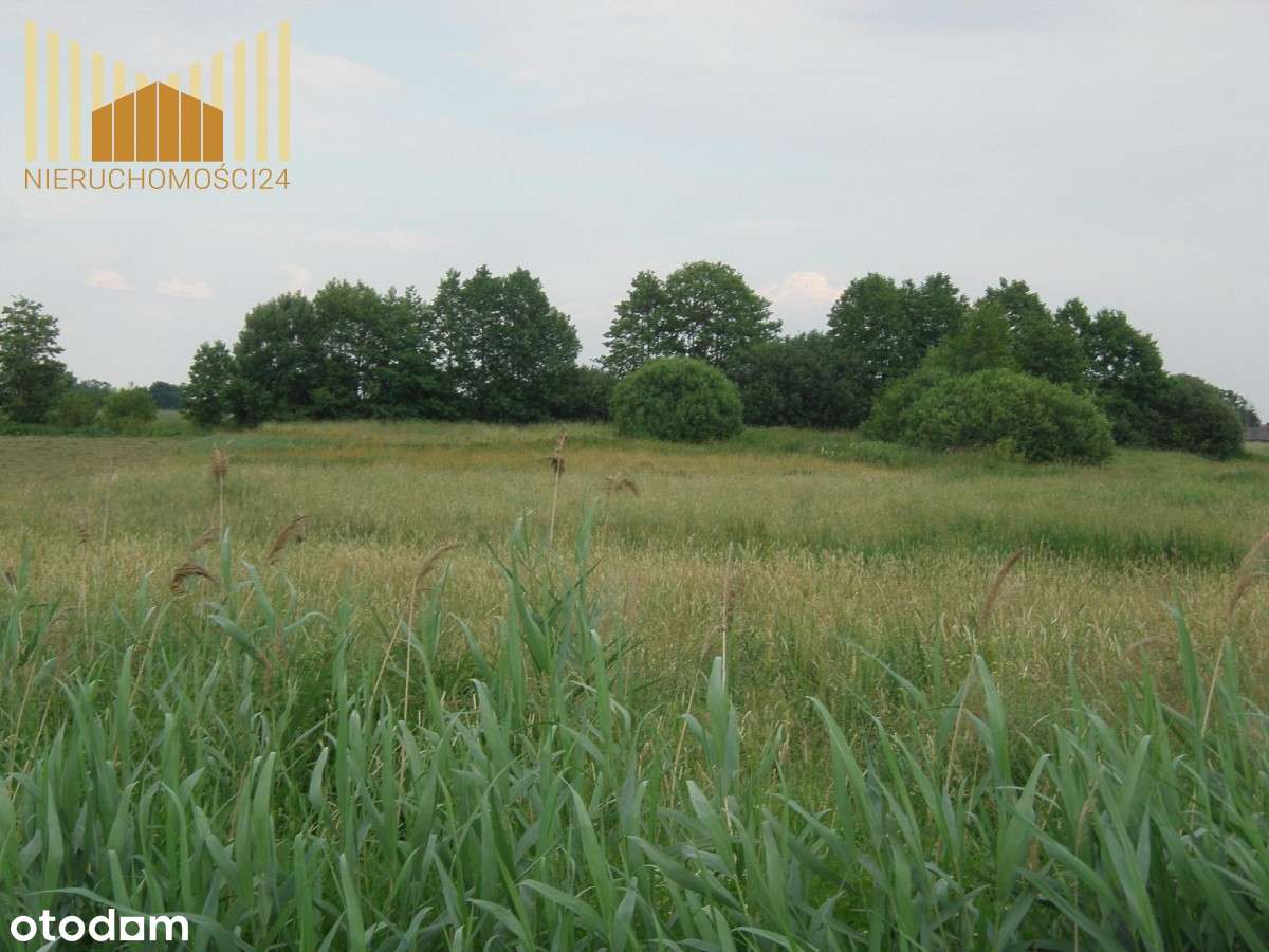 373097 - Pełny obrazek: 5/6