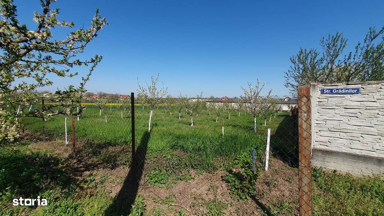 Vand teren in Zadareni - ID : RH-37242-property - Imagine principală: 4/4