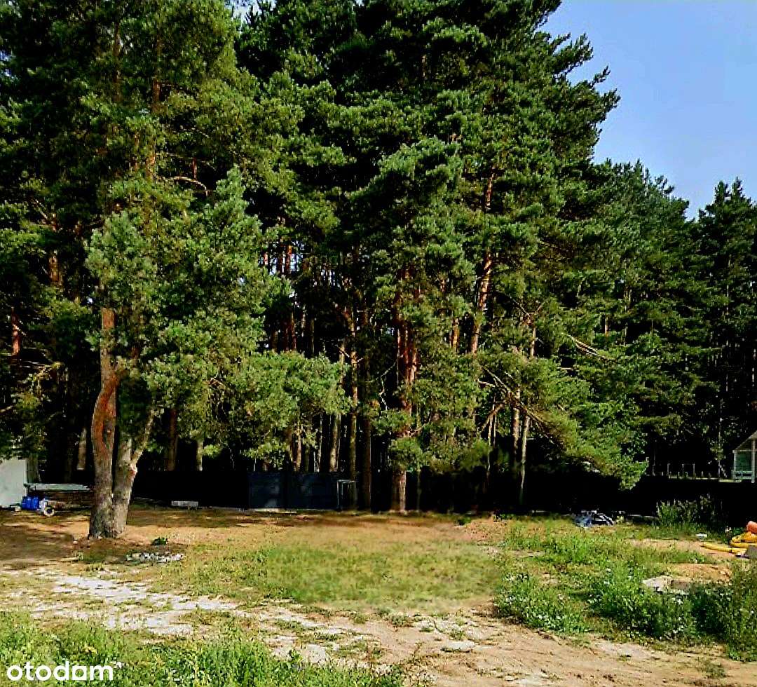 Przewłoka k.Ustki działka 1000 m² - Pełny obrazek: 5/7