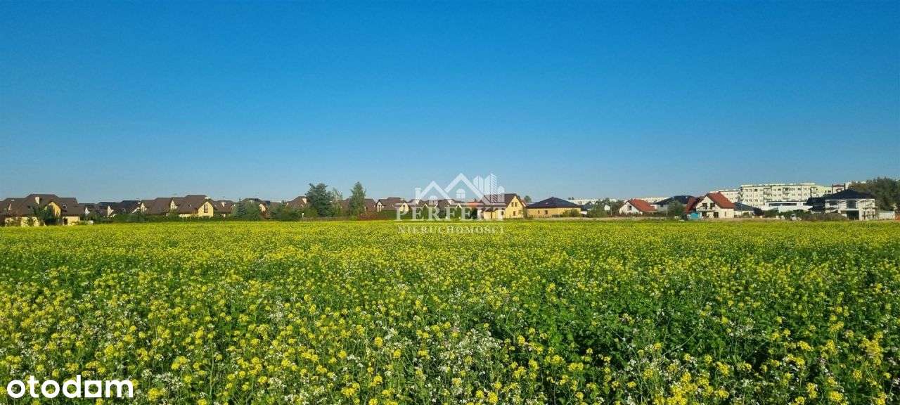 Działka 597m2 w okolicy ul.Bluszczowej/Słoneczniko - Pełny obrazek: 3/7