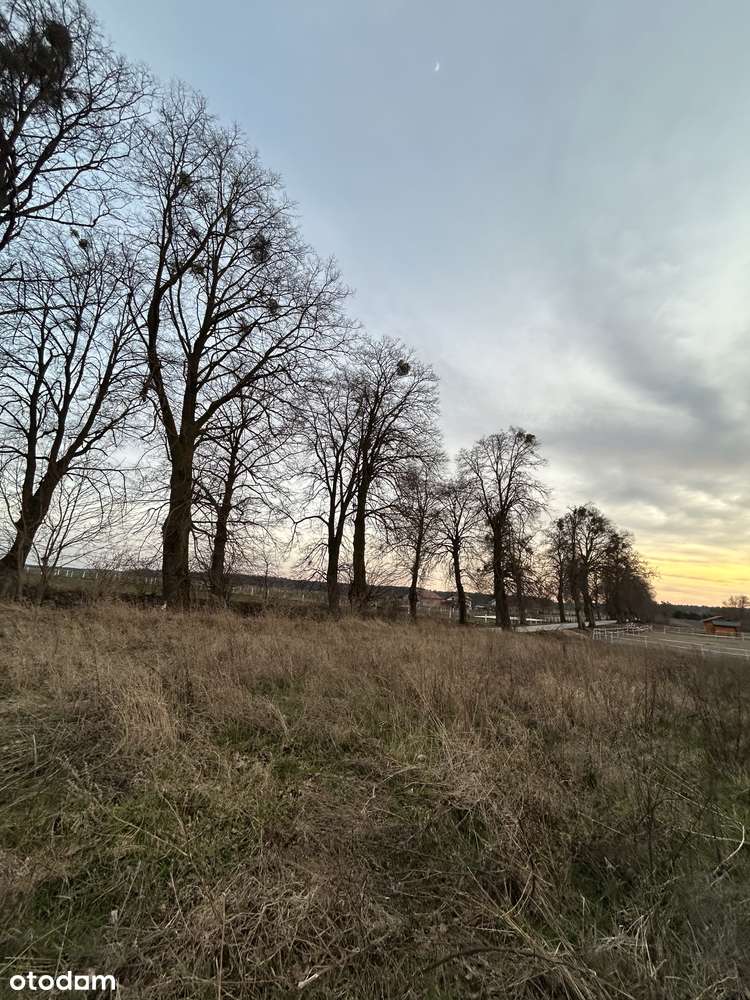 Sprzedam działkę budowlaną w Gościszewie - Pełny obrazek: 4/7