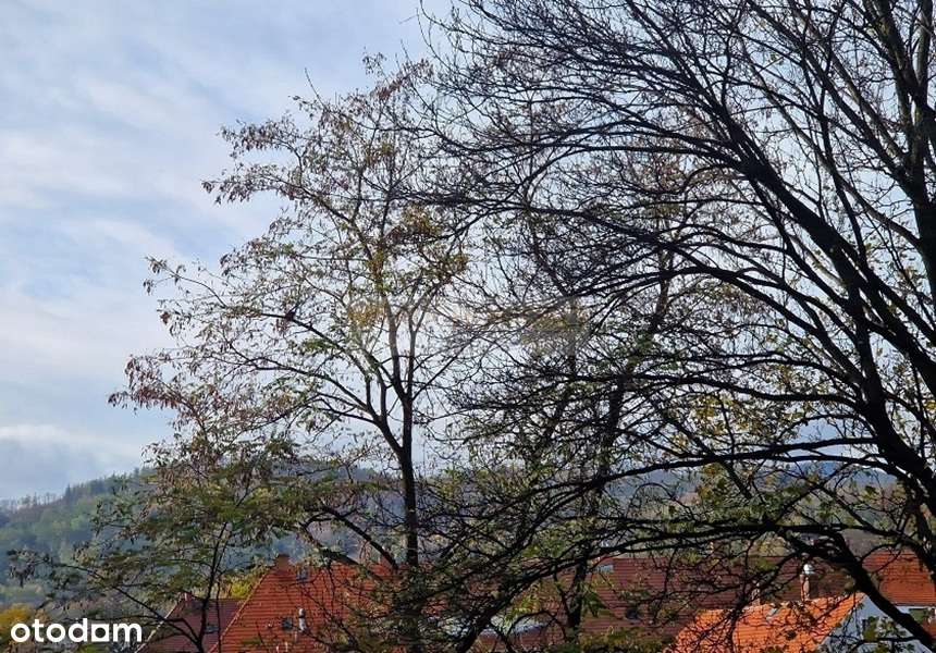 Dwupokojowe mieszkanie w sąsiedztwie jeziora!-5