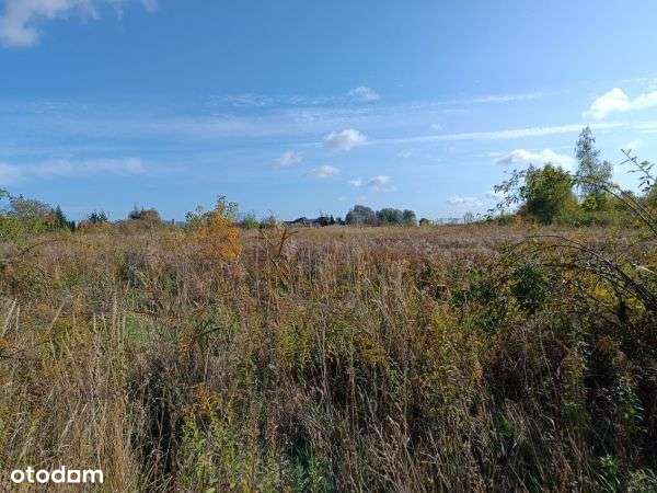 Działka, 18 800 m², Gniezno - Pełny obrazek: 4/5