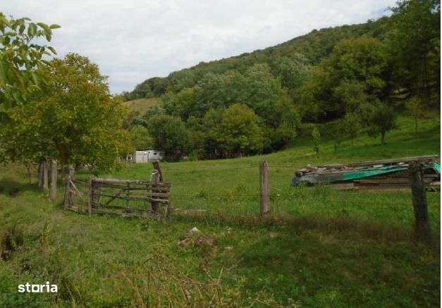 Teren extravilan-Loc. Roscani, comuna Dobra, judetul Hunedoara; - Imagine principală: 1/5